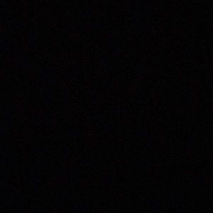 Meet your Posher, Rikki